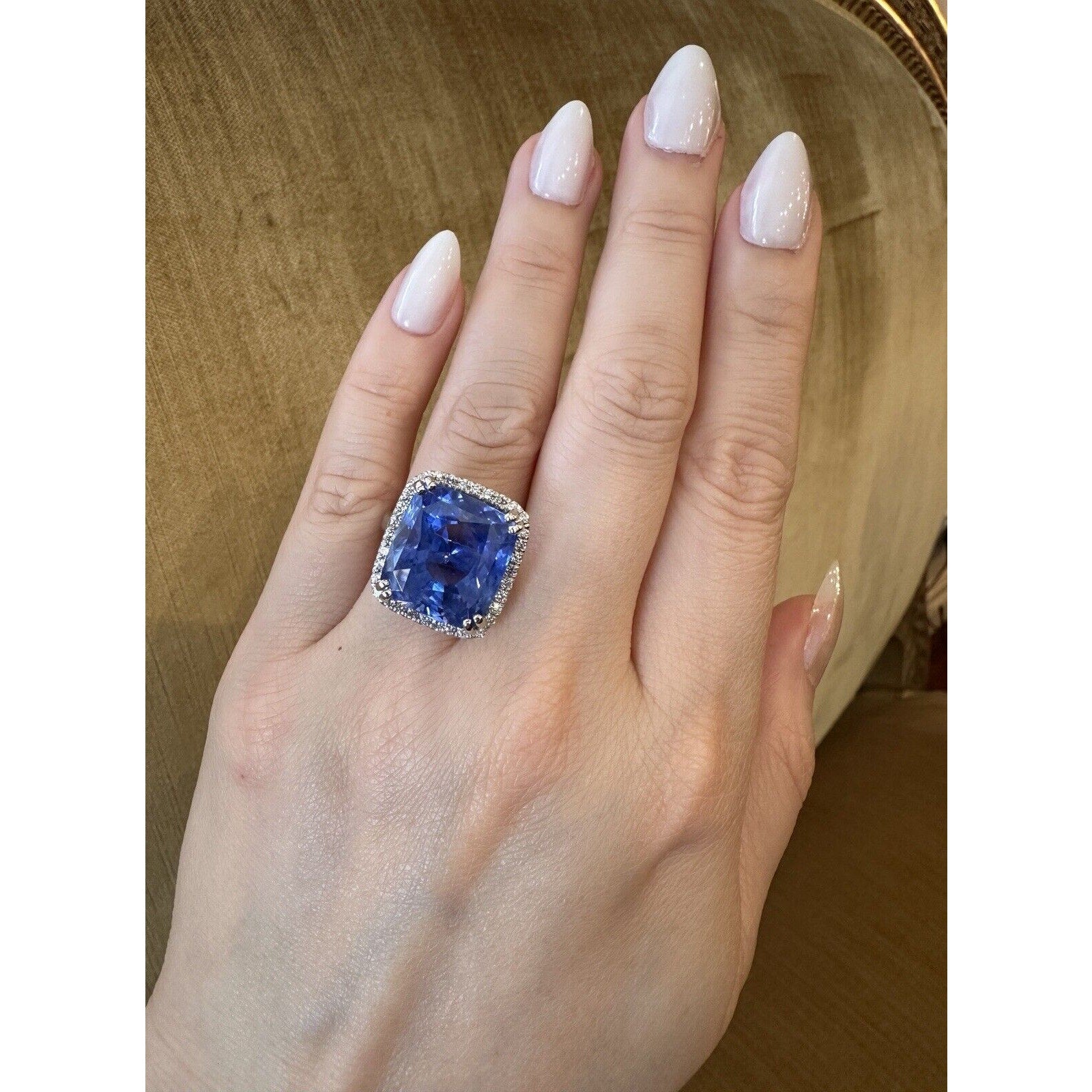 GIA 26.75cts Unheated Ceylon Sapphire in Diamond Halo Platinum Ring- C300ZR