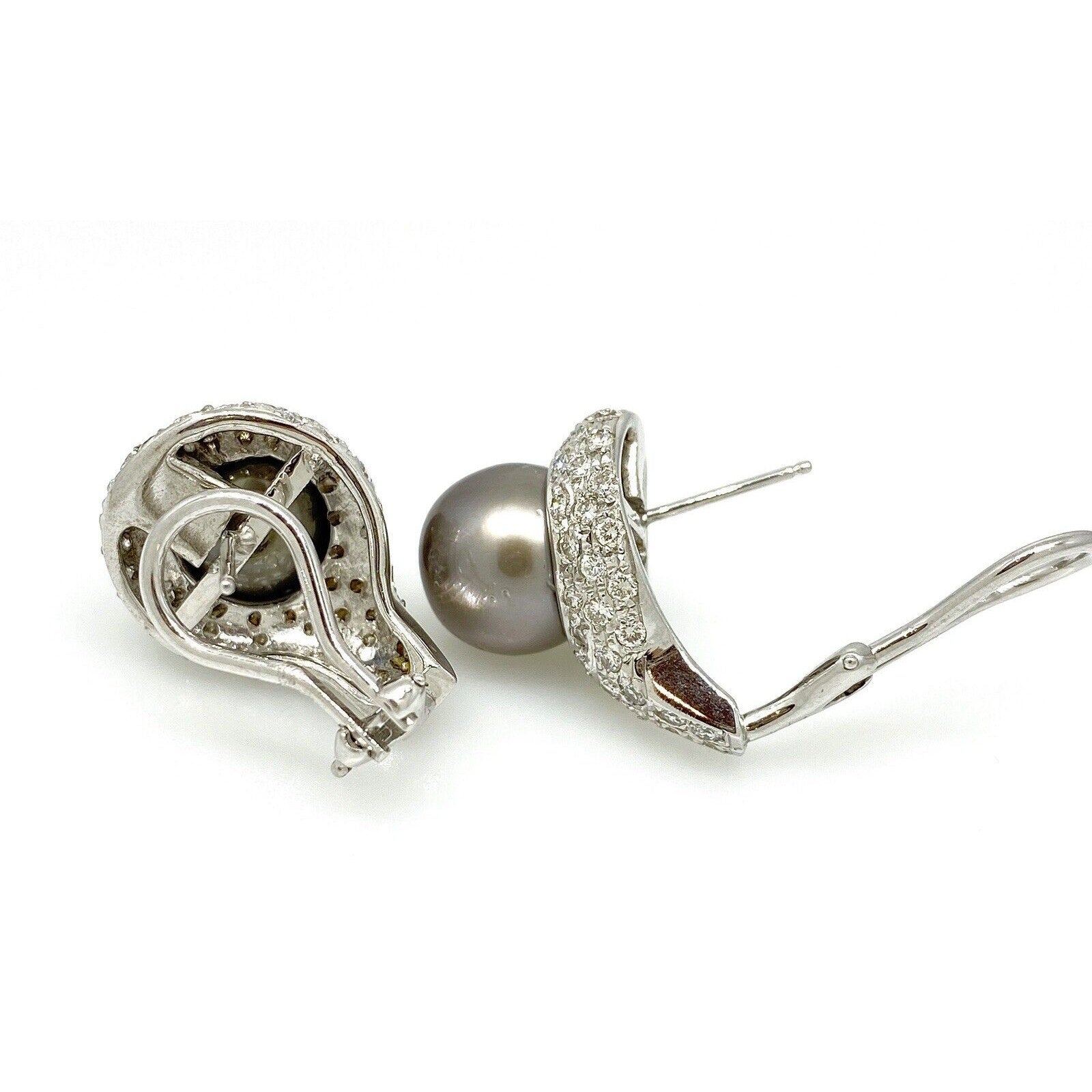 Pave Diamond and Black South Sea Pearl Earrings in 14k White Gold