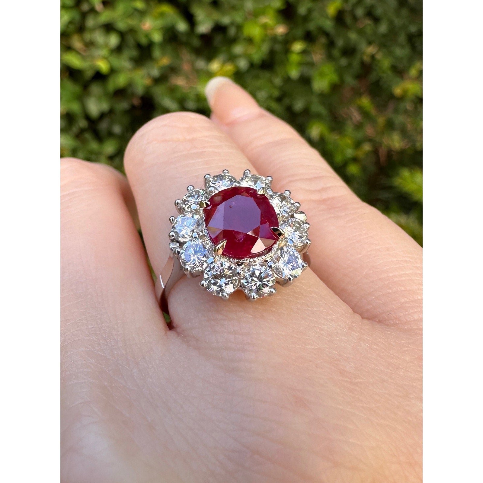 AGL Certified Unheated Cushion Ruby Ring with Diamonds in Platinum - HM2591