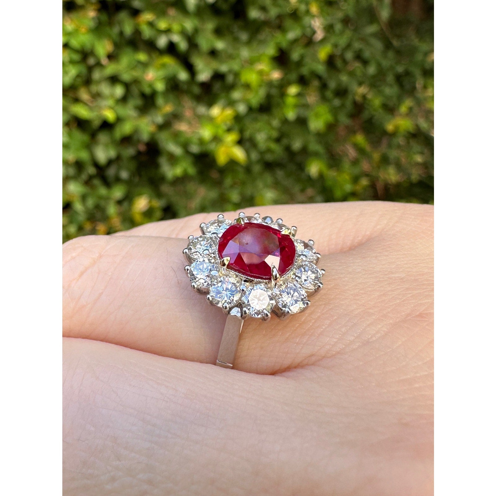 AGL Certified Unheated Cushion Ruby Ring with Diamonds in Platinum - HM2591