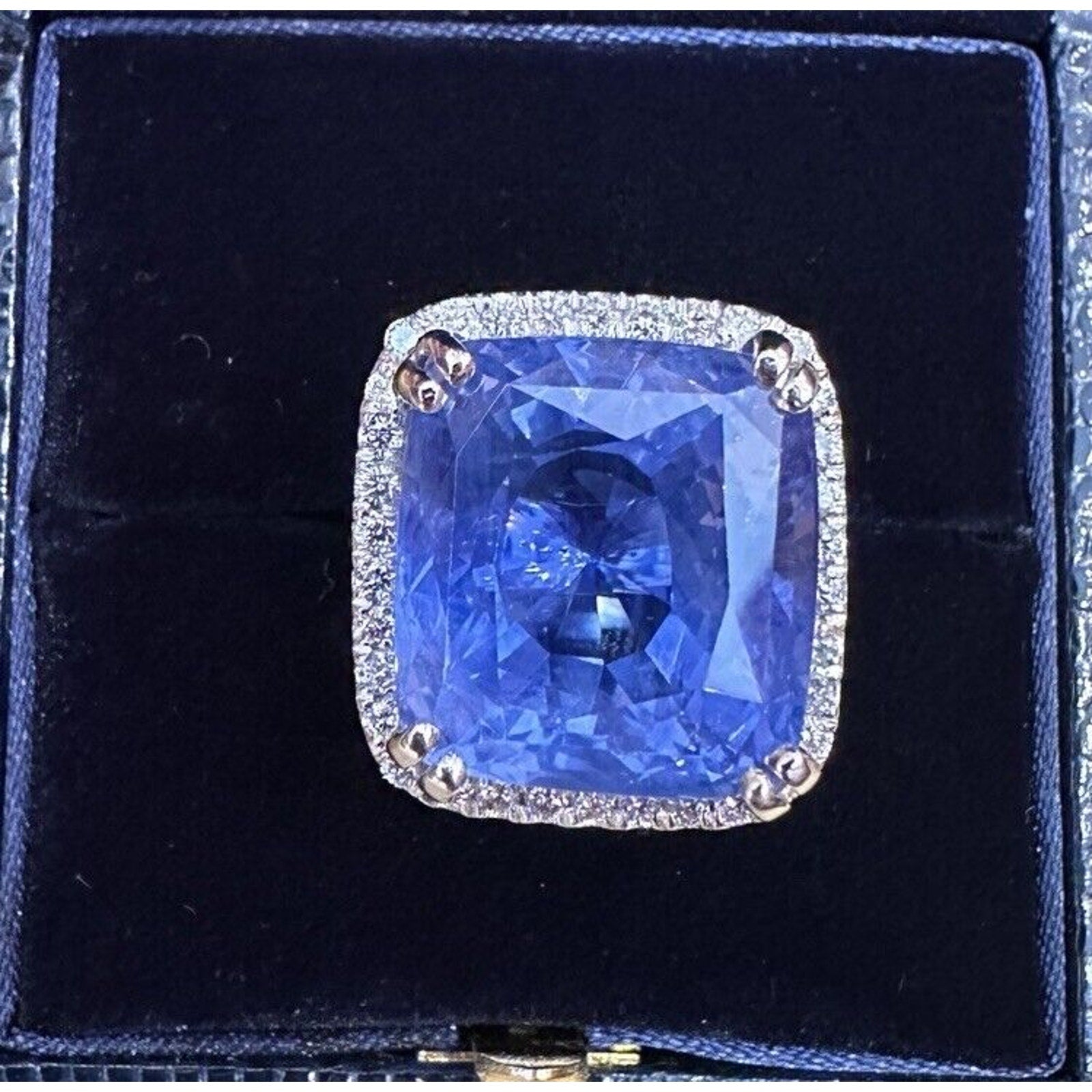 GIA 26.75cts Unheated Ceylon Sapphire in Diamond Halo Platinum Ring- C300ZR