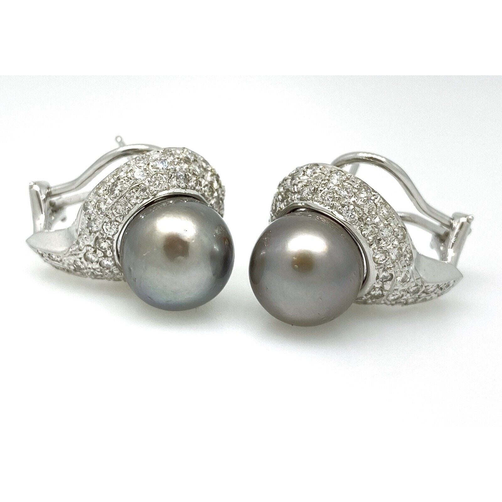 Pave Diamond and Black South Sea Pearl Earrings in 14k White Gold