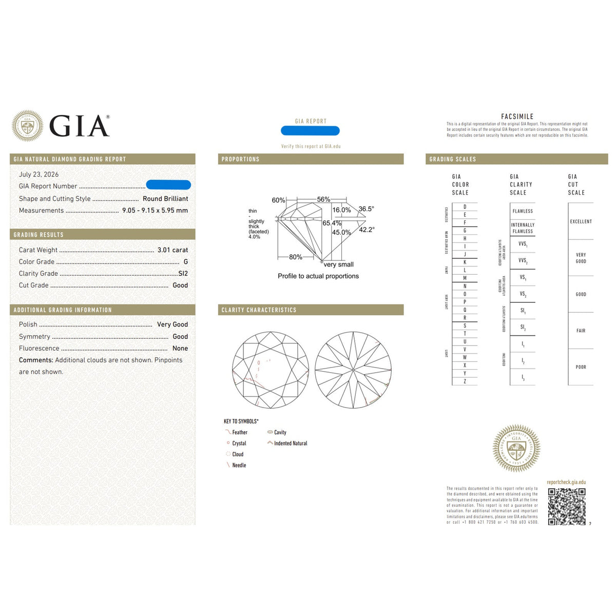 GIA Natural 3.01 ct Round Brilliant Diamond Ring in 18k White Gold