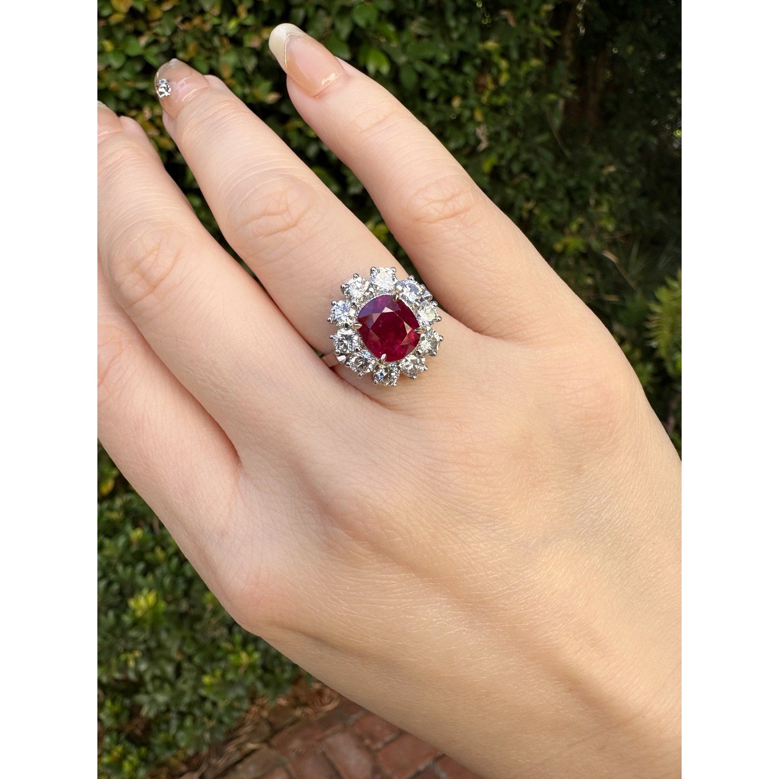 AGL Certified Unheated Cushion Ruby Ring with Diamonds in Platinum - HM2591