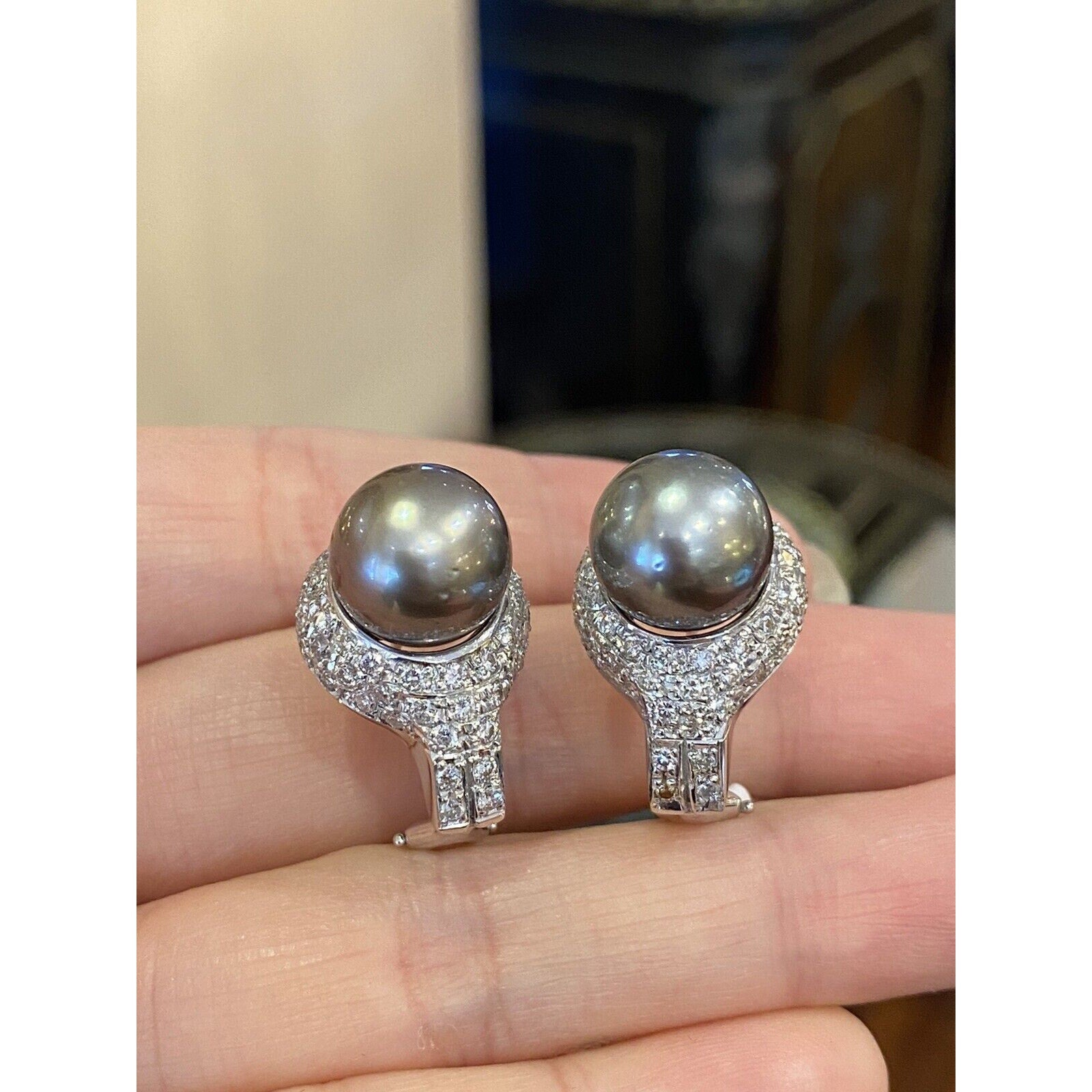 Pave Diamond and Black South Sea Pearl Earrings in 14k White Gold